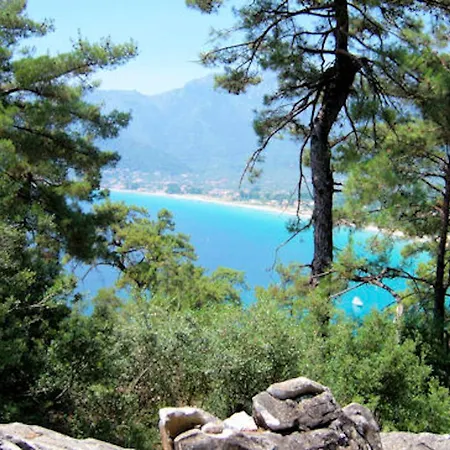 Room In Studio - Hotel Georgia - Charming Hotel In Golden Beach In Thassos Island 招待所